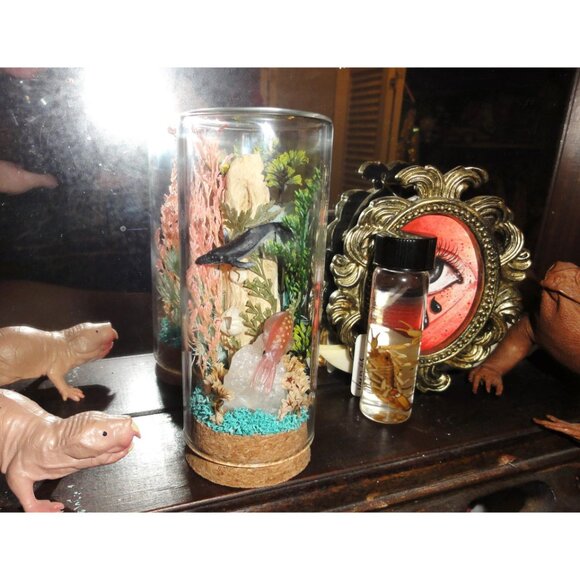 Humpback Whale & Squid Ocean Themed Oddity Jar curiosity dome crystal sea life - Picture 5 of 15